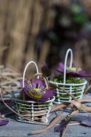 Arrangement mit Orientalischer Nieswurz (Helleborus orientalis) im Körbchen