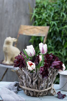 Tulpen (Tulipa) im Gefäß, ummantelt mit knorrigen Zweigen