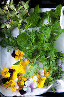 Wild herbs and edible flowers