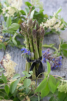 Bund grüner Spargel mit Holunderblüten (Sambucus Nigra), Borretschblüten (Borago officinalis) und Jeansband auf Holzuntergrund