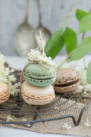 Macarons mit Holunderblüten