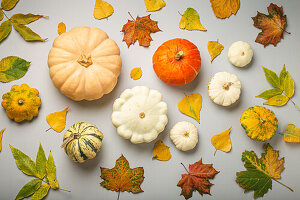 Various pumpkins and colourful autumn leaves for Thanksgiving