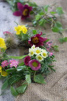 Wreath of spring flowers, forget-me-nots (Myosotis), pasque flowers (Pulsatilla), primroses (Primula) and bellis