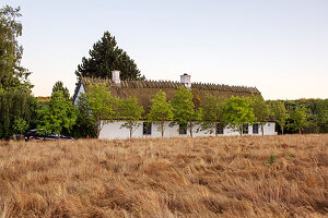 View of meadow, house with thatched roof in background\n