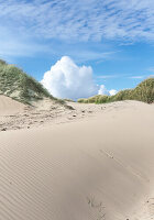 Low angle view of sandy beach at summer\n