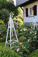 Vorgarten mit Rosen, Buchs und Rankhilfen