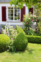 Front garden with roses, box and climbing supports