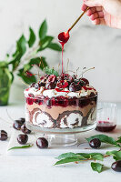 Cherry trifle with chocolate cream