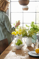 Teapot with snowball (viburnum) and spring bouquets in vases on dining table