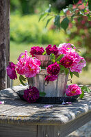 Rosa Blüten der Gallicarose (Rosa gallica) 'Versicolor' und Nuit de Young' in Etagere aus Töpfen und Kuchenform