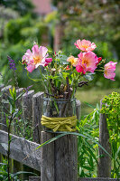 Strauchrose 'Herzogin Friederike' (Rosa), einzelne Blüten mit Steckhilfe, Zweigen in Glasvase auf Gartenzaun