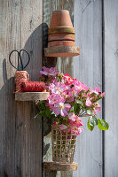 Bodendeckerrose 'Fleurette' (Rosa) in Vase an Wandregal aus Holz