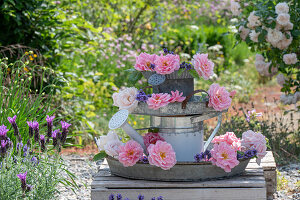 Selbstgebautes Etagere aus Gießkanne mit rosa Rosenblüten