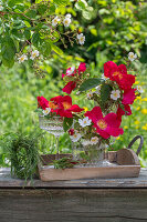 Weiße Büschelrose (Rosa multiflora) und rote Gallicarose (Rosa gallica) 'Scharlachglut' in Vase auf Terrassentisch