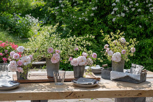 Weisse Rose 'Stanwell Perpetual' (Rosa) als Strauß mit Wiesenlabkraut (Galium mollugo) in altem Zinkeimer auf der Terrasse