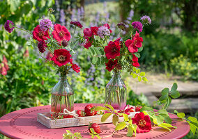 Rosa moyesii 'Geranium', rote Skabiosen (Scabiosa), Scheinwaldmeister (Phuopsis stylosa) als Blumsträuße in Vasen und Erdbeeren auf Gartentisch