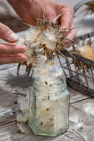 Milk thistle