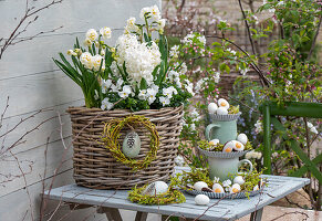 Narcissus 'Bridal Crown' (Narcissus), hyacinths (Hyacinthus), horned violets (Viola Cornuta) in a flower basket with an etagere made of jugs and candy Easter eggs