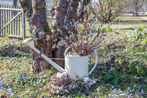 Eggs in Easter nest and pussy willows (Salix caprea) in old watering can in the garden, Easter decoration