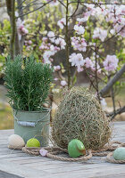 Rosemary in a pot and hay with Easter eggs