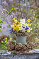 Narzissen (Narcissus) 'Sailboat' ,'Tete a Tete', Zwergiris (Iris Reticulata )'Harmony' in Vase mit Osternest und Ostereiern
