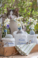 Traubenhyazinthe (Muscari) 'Mountain Lady', Narzissen 'Sailboat', Hornveilchen (Muscari) als kleine Ostersträuße mit Ostergruß in der Papiertüte vor Katze