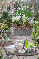 Hyacinths (Hyacinthus), Puschkinia, spring snowflake (Leucojum Vernum), in hanging basket and table with Easter decorations, bunny figurines on the patio