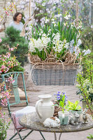 Hyacinths (Hyacinthus), cone flower, morning glory (Leucojum vernum), in hanging basket and table with Easter decoration, bunny figures on the patio