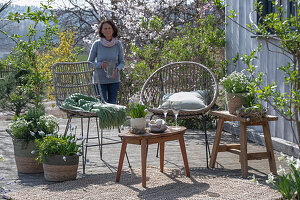 Grape hyacinth 'Mountain 'Lady', rosemary, thyme, oregano, saxifrage in plant pots on the patio, woman behind seating area, Easter eggs