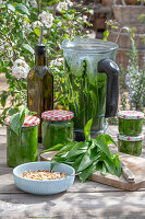 Homemade wild garlic pesto from wild garlic, pine nuts in a bowl, olive oil, pesto in jars, leaves on a chopping board, blender