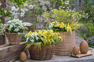 Primroses 'Goldie', calamus 'Ogon', goose cress 'Alabaster', spurge 'Ascot Rainbow', horned violets in flower baskets with Easter egg sculptures on the patio