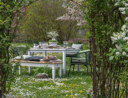 Gedeckter Tisch im Garten für Osterfrühstück mit Osternest und gefärbten Eiern, Blumenstrauß in Etagere, Korb mit Ostereiern in der Wiese, Torbogen durch Stauden