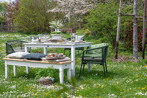 Set table in the garden for Easter breakfast with Easter nest and colored eggs in egg cups, bouquet of flowers in etagere, basket with Easter eggs in the meadow