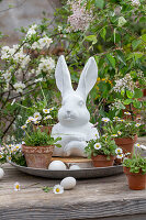 Daisies (Bellis) in small flower pots, hen's eggs and Easter bunny figure on silver plate next to flower wreath