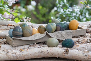 Easter eggs colored with natural dyes in a wooden box with knitted cloth on birch branches