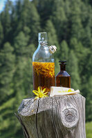 Arnica tincture for liniments and pulse wraps