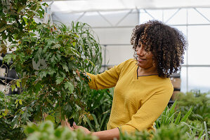 Smiling young woman in nursery holding up green plant