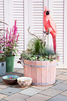 Aquatic planter with plants and decorative bird on the terrace