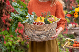 Frau hält Korb mit Zucchini, Kürbis, Äpfeln, Kastanien, Fenchelblüten und Mangold