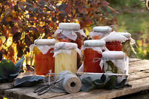 Eingemachte Paprika, Gurken, Tomaten in Gläsern auf herbstlicher Terrasse 