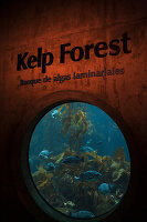 Fischtank in einem Kelpwald-Exponat; Kalifornien, Vereinigte Staaten von Amerika