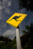 Kangaroo crossing sign