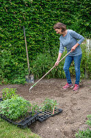 Woman with rake preparing bed for planting pre-grown young plants