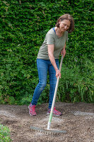 Woman with rake working in horn shavings for planting pre-grown young plants