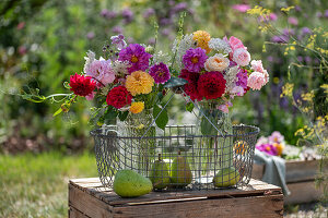 Blumensträuße aus Rosen (Rosa), Dahlien (Dahlia), wilde Möhre, Herbstanemone (Anemone Japonica) mit Birnen im Drahtkorb