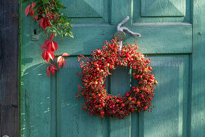 Wreath of rose hips of dog rose (Rosa canina) and multiflora rose (Rosa multiflora) hanging on door