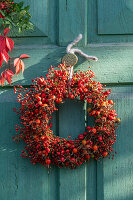 Wreath of rosehips of the dog rose (Rosa canina) and the multiflora rose (Rosa multiflora) hanging on the door