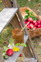 Homemade apple sauce