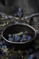 Fresh sloe berries