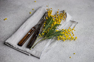 Wooden cutlery and mimosa branches (Acacia dealbata) on a grey concrete surface